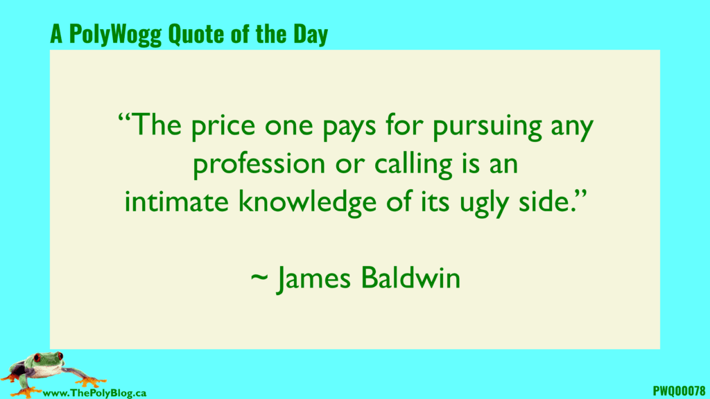 “The price one pays for pursuing any profession or calling is an intimate knowledge of its ugly side.” ~ James Baldwin